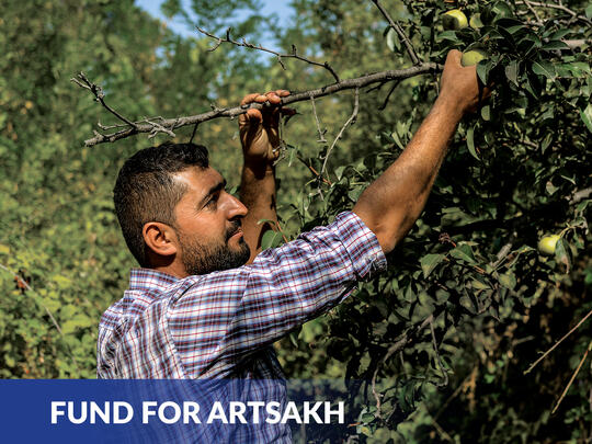 Artsakh Relief - Donate Page Button