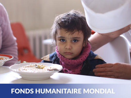 Fonds humanitaire mondial