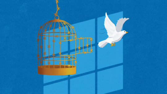 A white dove escaping from a cage as a metaphor of justice